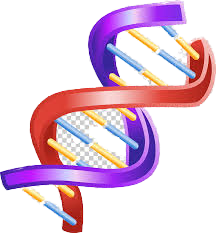 Ilość DNA