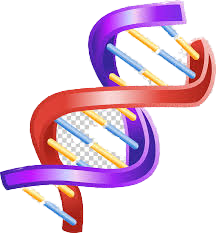 Quantidade de DNA