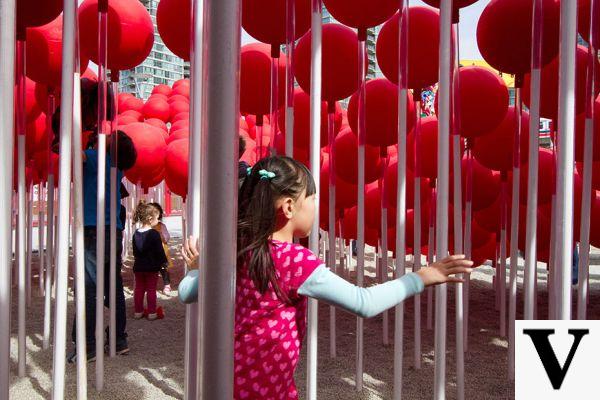 Lollipop Forest