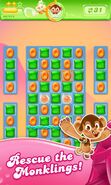 Candy Crush Saga Jelly