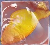 Jelly Fish (bonbon spécial)