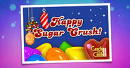 Zucchero Crush